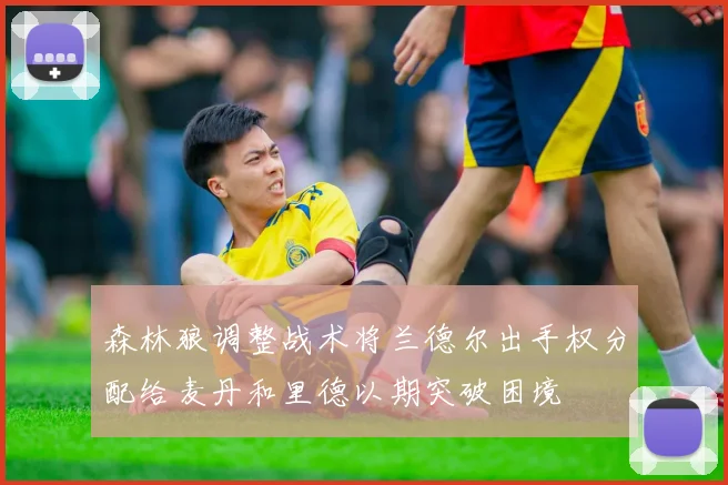 森林狼调整战术将兰德尔出手权分配给麦丹和里德以期突破困境